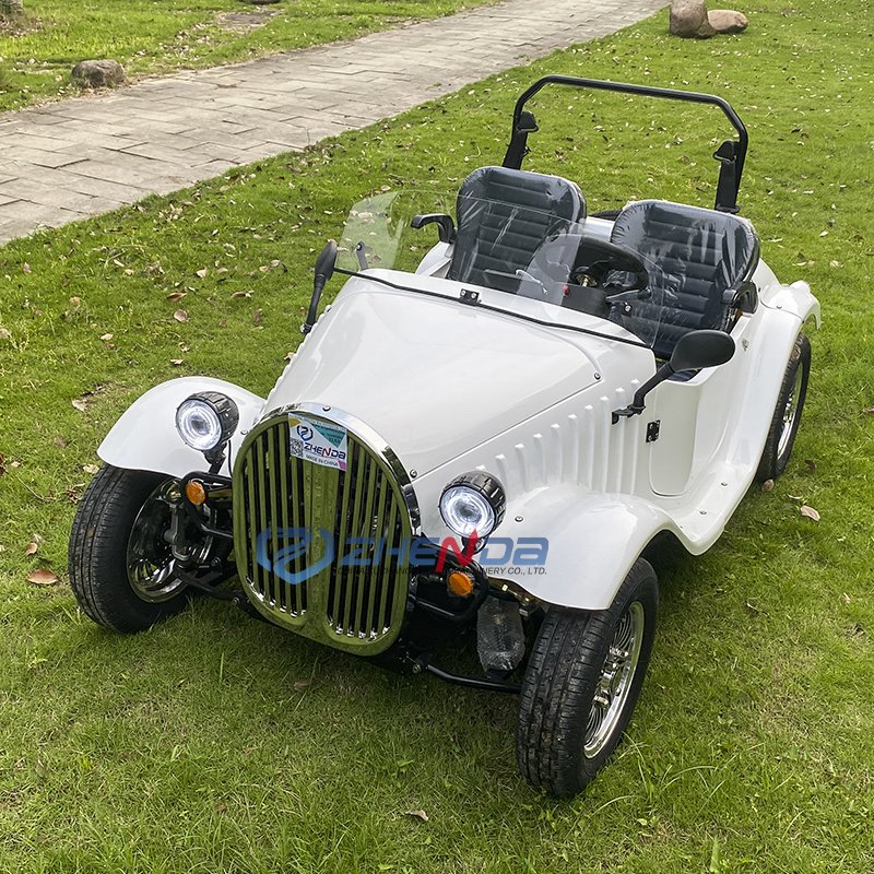 New Cars Luxurious Car Hot Sale Brand Vintage Classic Travel Sightseeing 2 Seats Sightseeing Electric Car