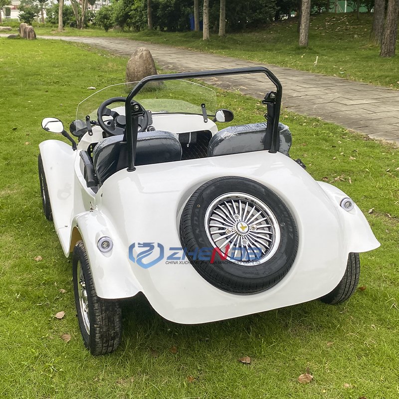 New Cars Luxurious Car Hot Sale Brand Vintage Classic Travel Sightseeing 2 Seats Sightseeing Electric Car