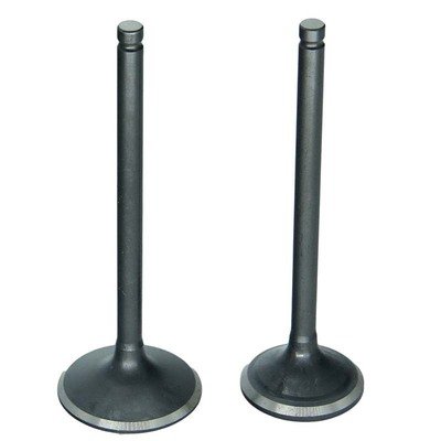 TOPU High Quality MOTORCYCLE Engine Intake and Exhaust Valve 5HH-E2111-00 Engine Valve