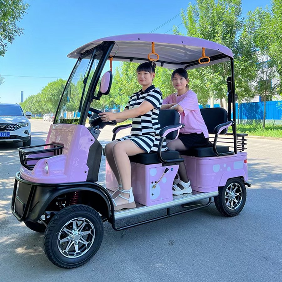 Battery Powered Passenger City Vehicle Tourist Shuttle Electric Mini Sightseeing Bus Car