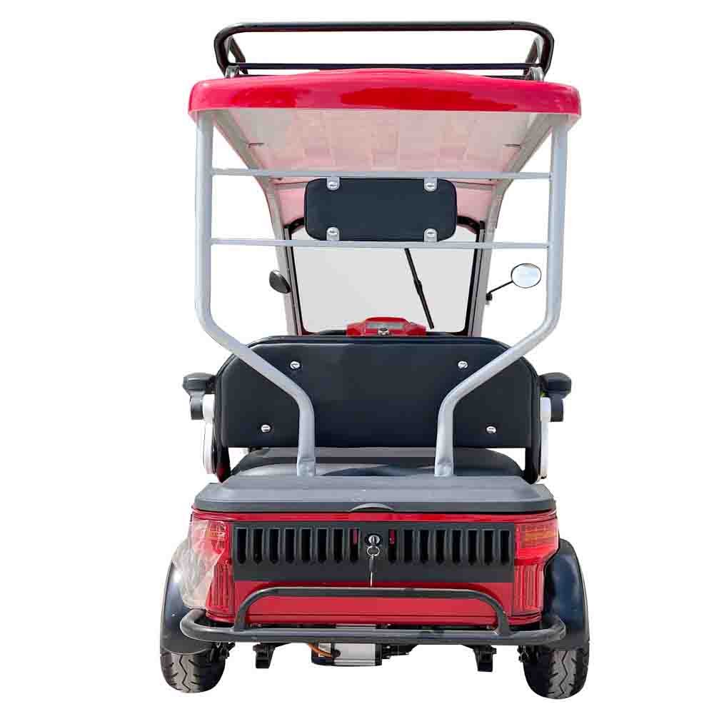New Energy Tourism and Sightseeing Factory Patrol Golf Cart