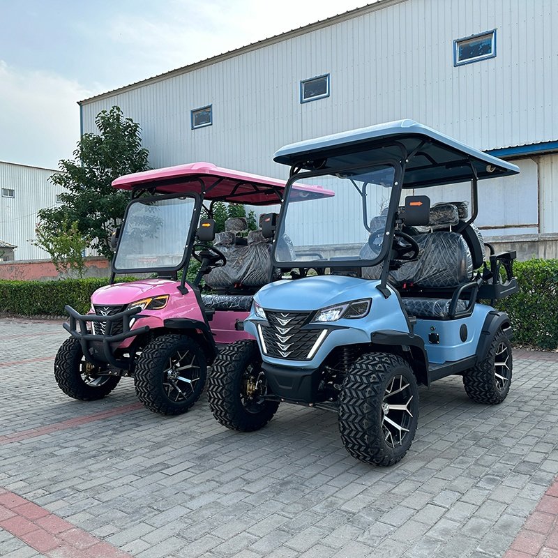 Brand New Design Factory 2+2 Seat Sightseeing Bus Club Cart Electric Golf Buggy Hunting Car with CE DOT