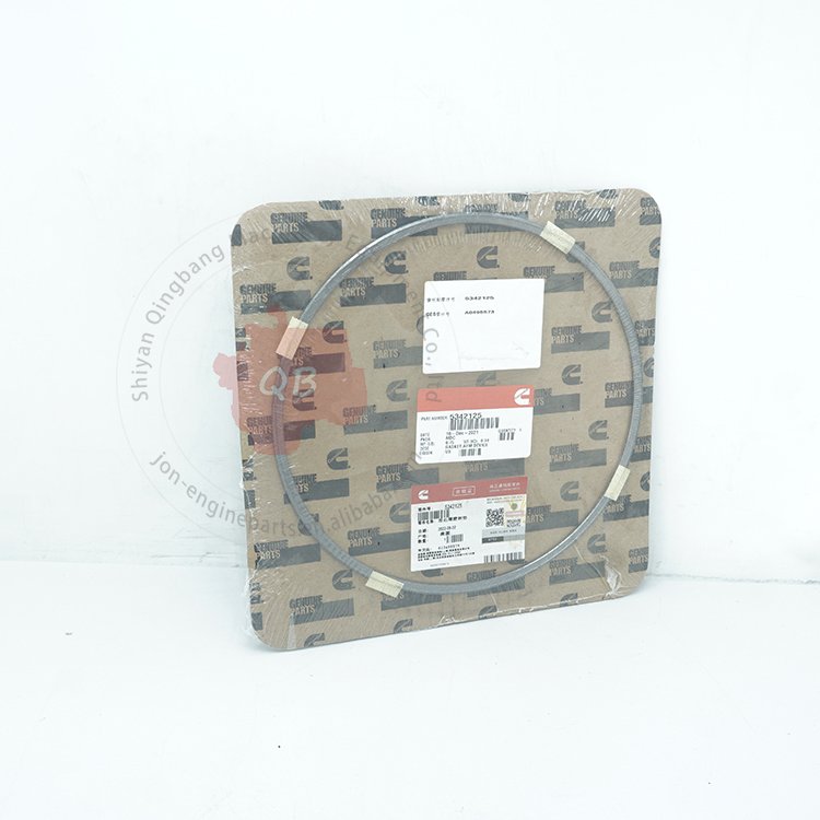 5342125 Cummins Diesel Engine Parts Afm Device Gasket 5342125