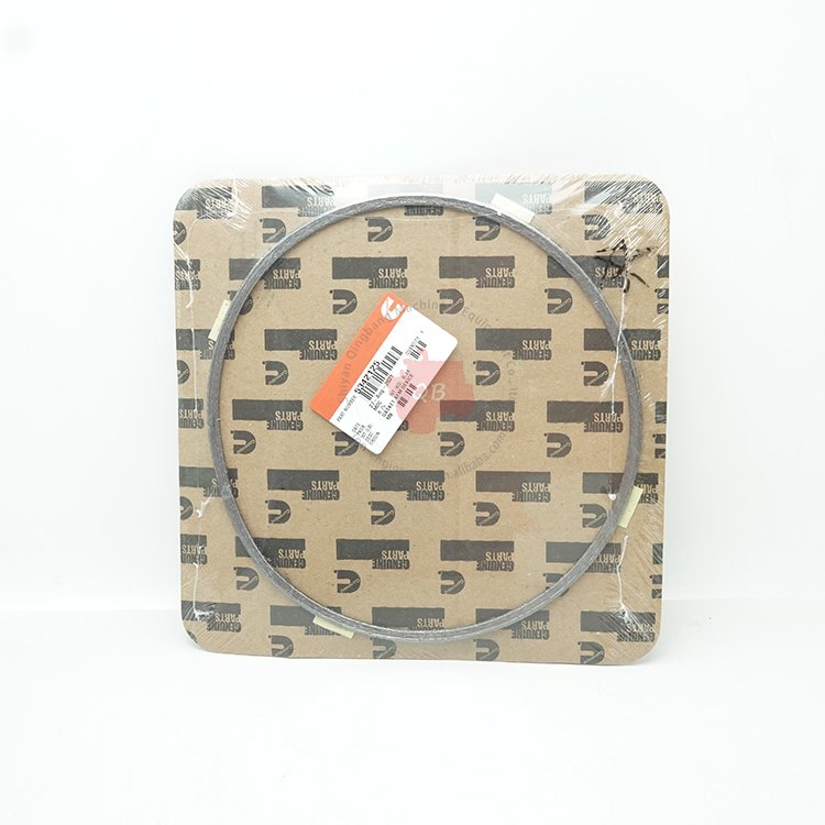 5342125 Cummins Diesel Engine Parts Afm Device Gasket 5342125