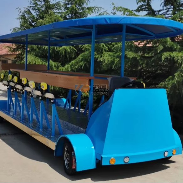 Special Offer DEEP BLUE Sightseeing Tour Bus Sale Beer Cargo Bike Electric Pedal Pub