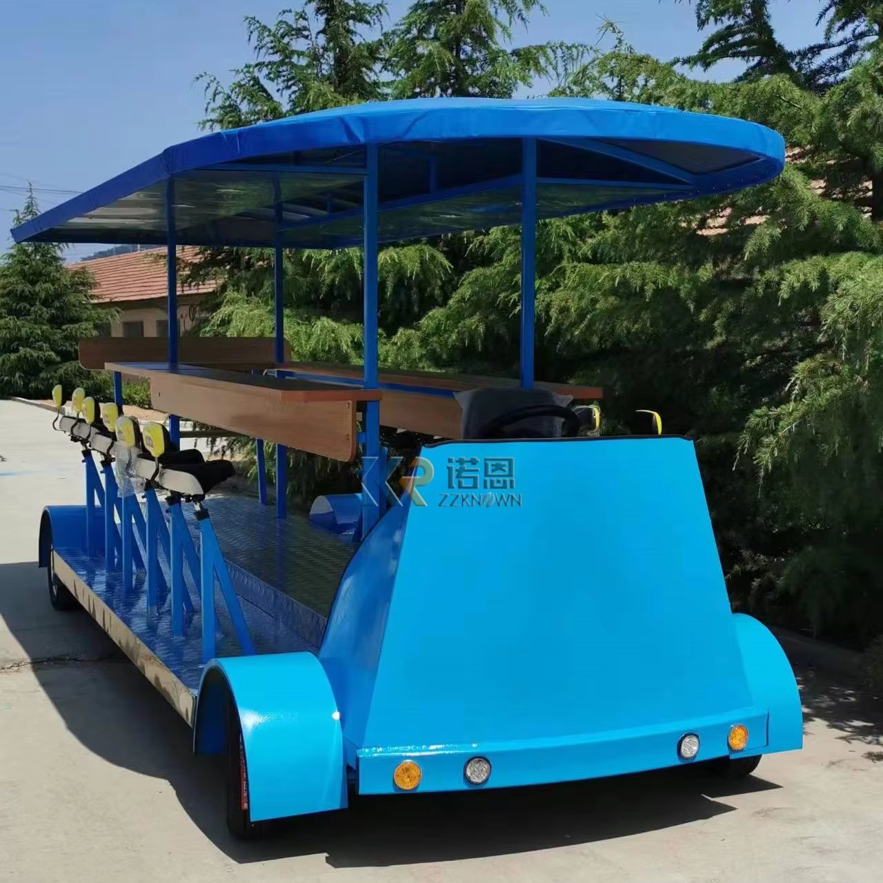 Special Offer DEEP BLUE Sightseeing Tour Bus Sale Beer Cargo Bike Electric Pedal Pub