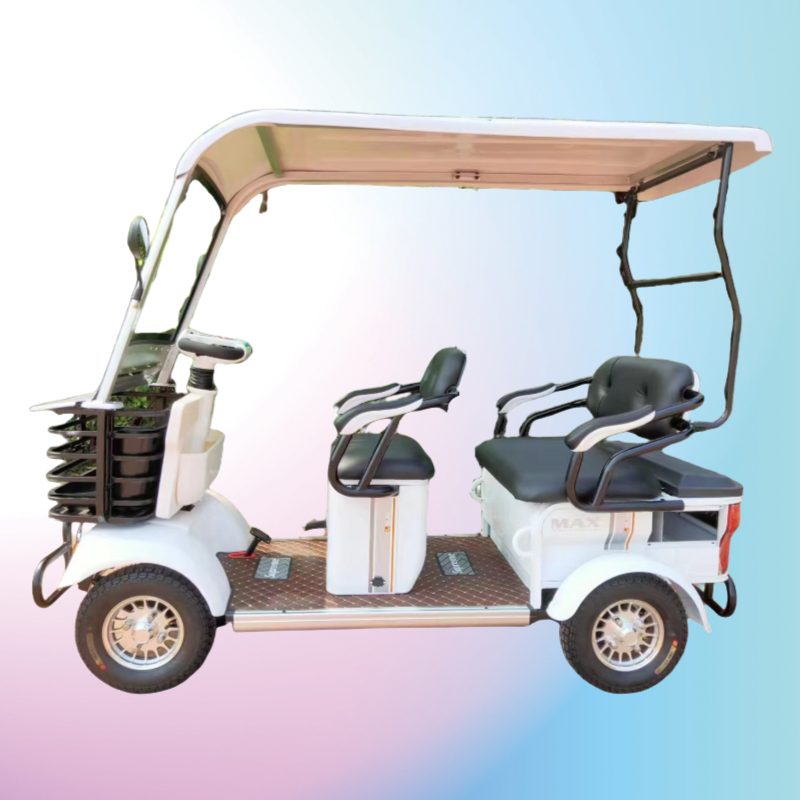 Latest Design 48-60V Recreational Electric Tour Bus Double-Row 3-Seater with Steel Frame Rear Wheel Hub Motor Integrated Battery