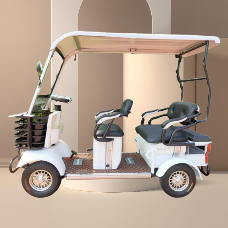Latest Design 48-60V Recreational Electric Tour Bus Double-Row 3-Seater with Steel Frame Rear Wheel Hub Motor Integrated Battery