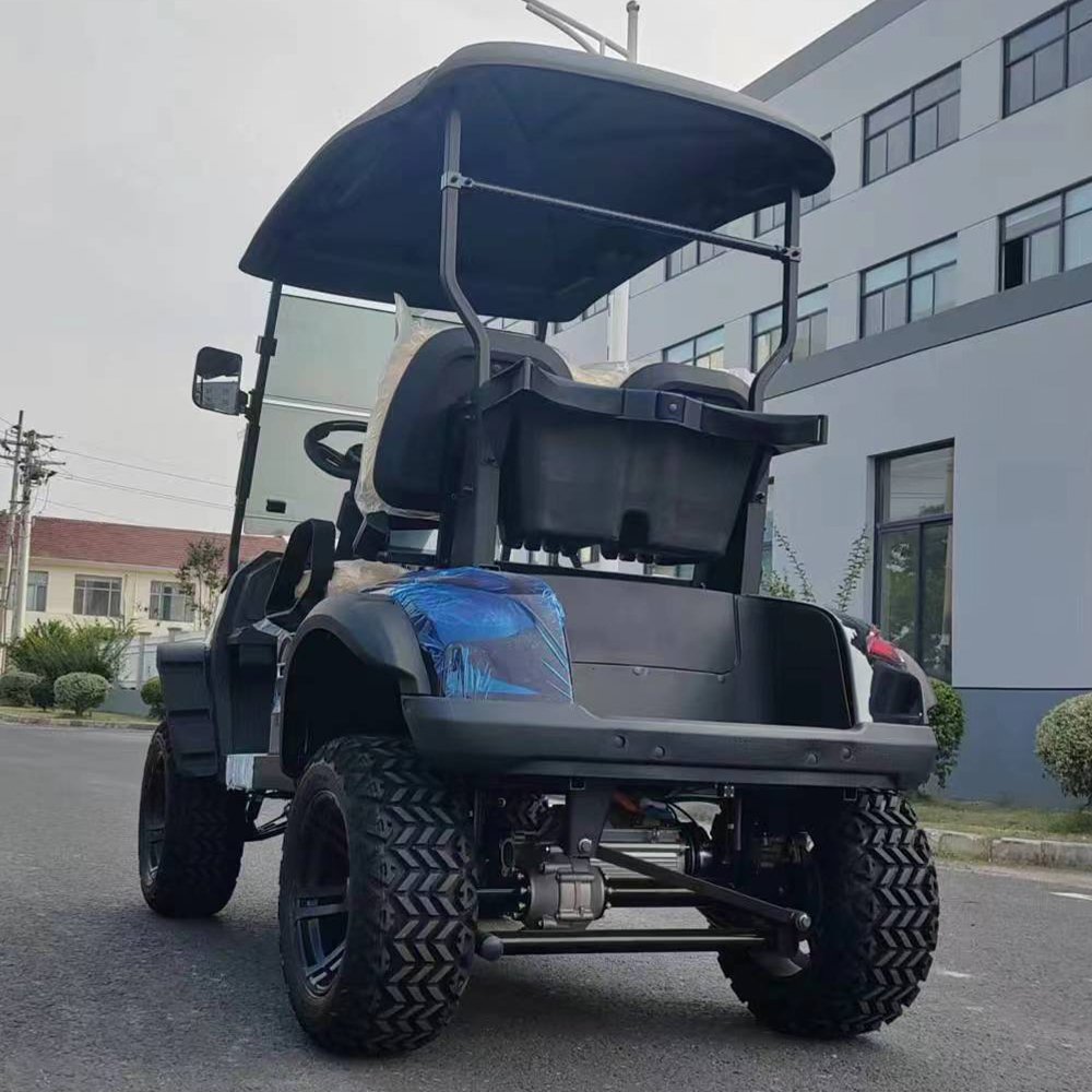 Factory Sells EPA Certified 2 Seat 4 Stroke 300CC Automatic Transmission Gasoline Golf Cart