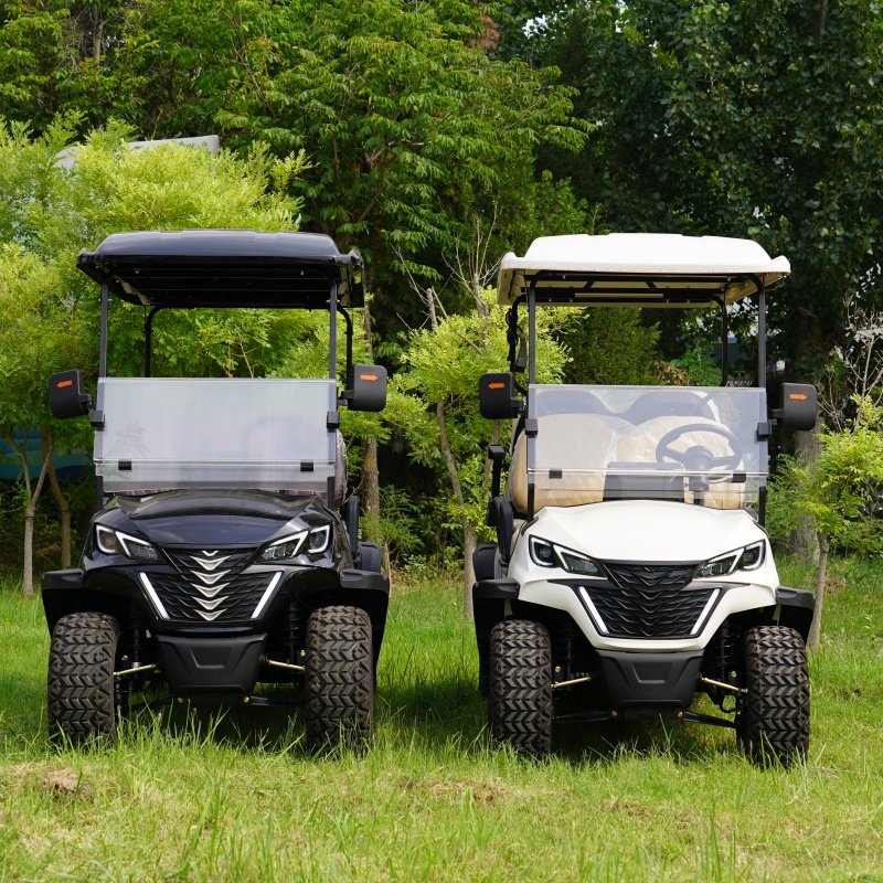 2024 Electric New Car Golf Cart 72v Mini Golf Car 4 Wheels 4 Passenger Sightseeing Car