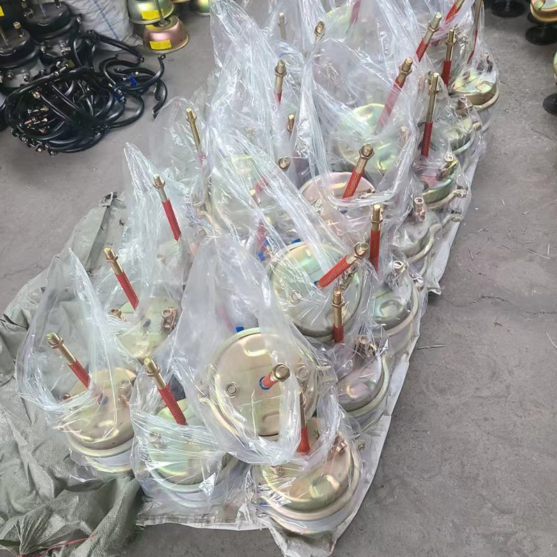 Truck Parts Air Brakes Spring Brake Chamber Sealed Chamber for Sale