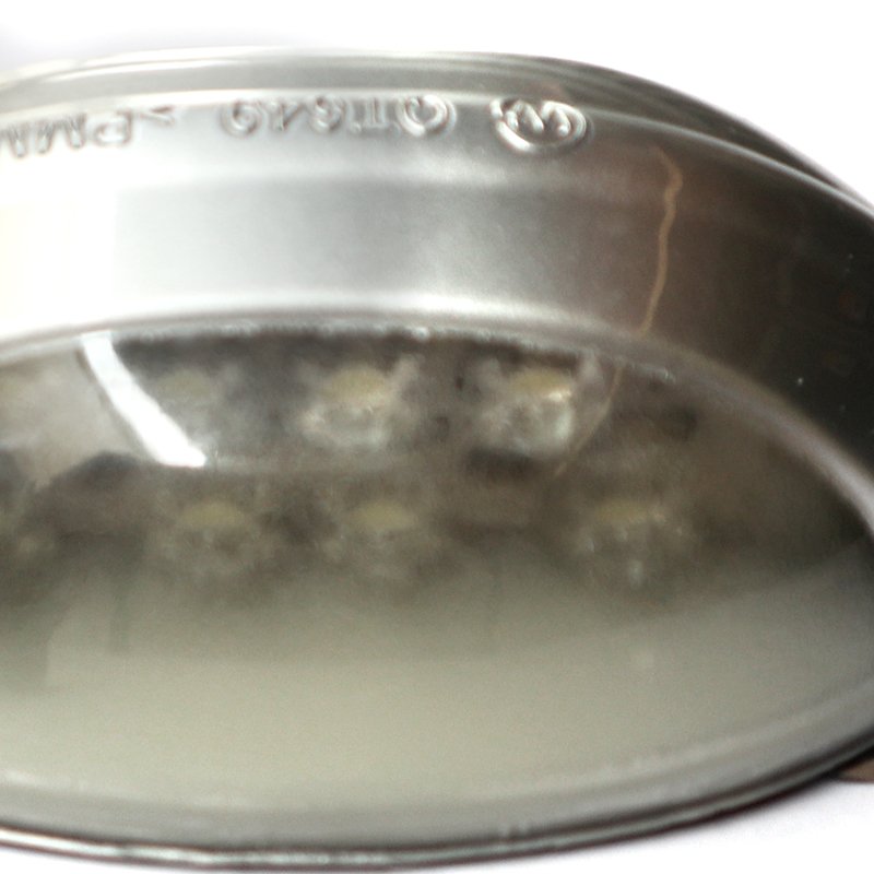 Bus Led 24v Qt649 Side Position Light Marker Lamps for Zhongtong Golden Dragon