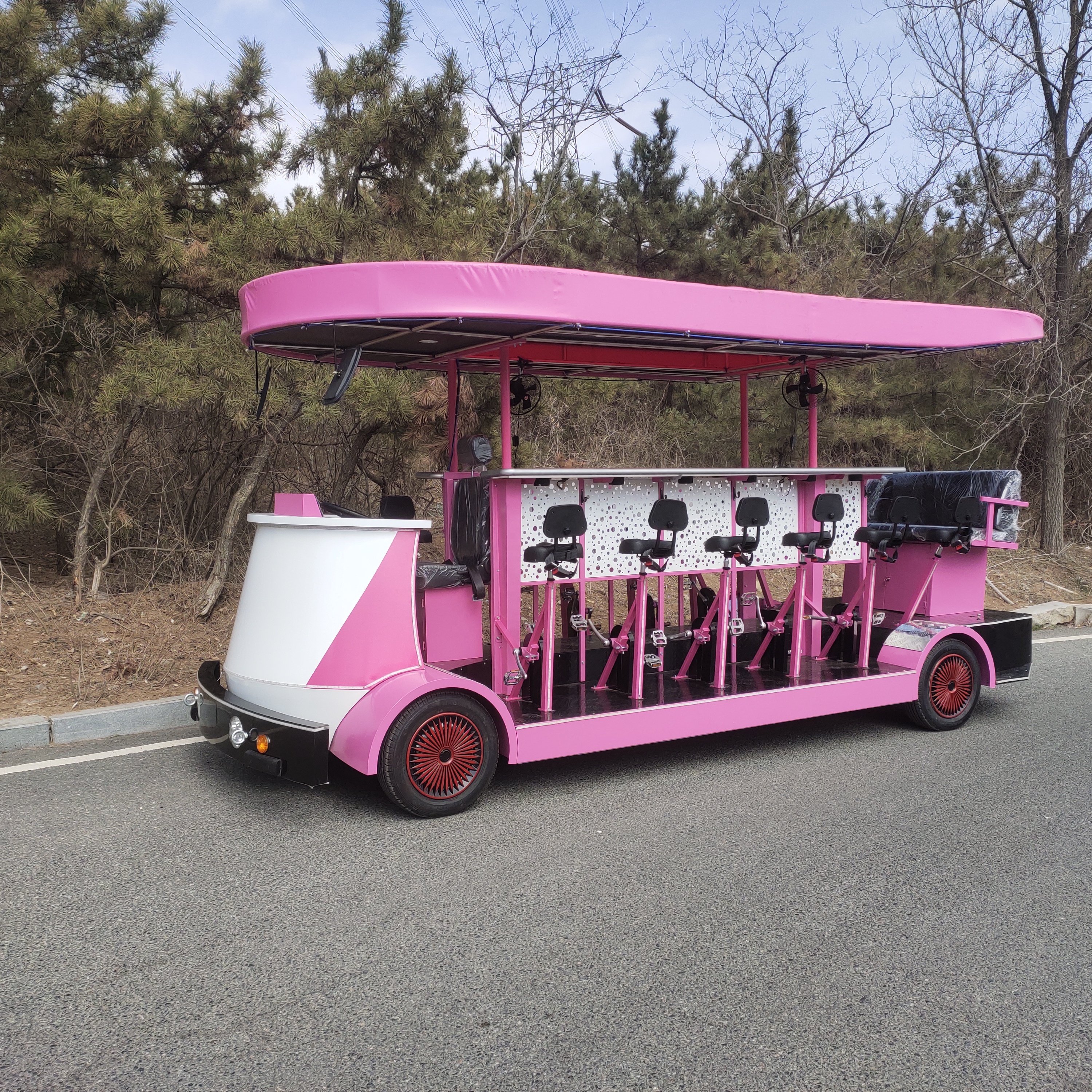 Manufacturer's Electric Party Bike with Pedal 3-Speed Sightseeing City Bus for Pub Bar Beer Cycle