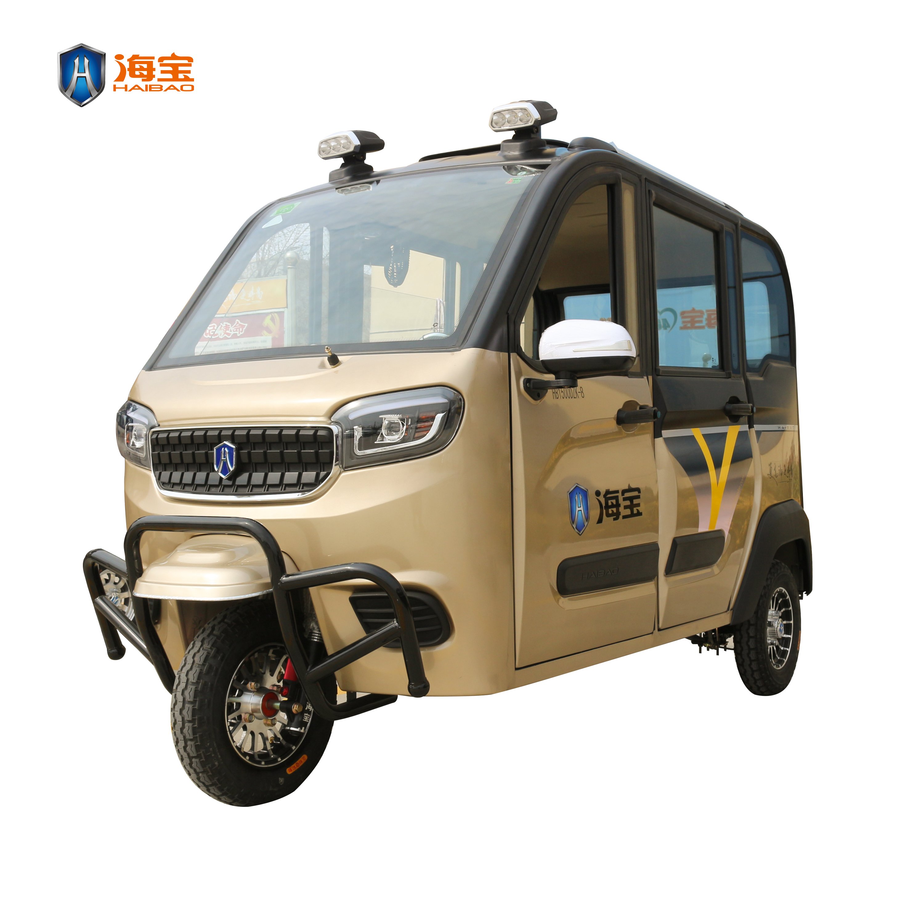 Three Wheels Adults Passenger Cheap Electric Tricycle Motorcycle Rickshaw Fully Enclosed Mobility Electric Scooters Motor Cabin