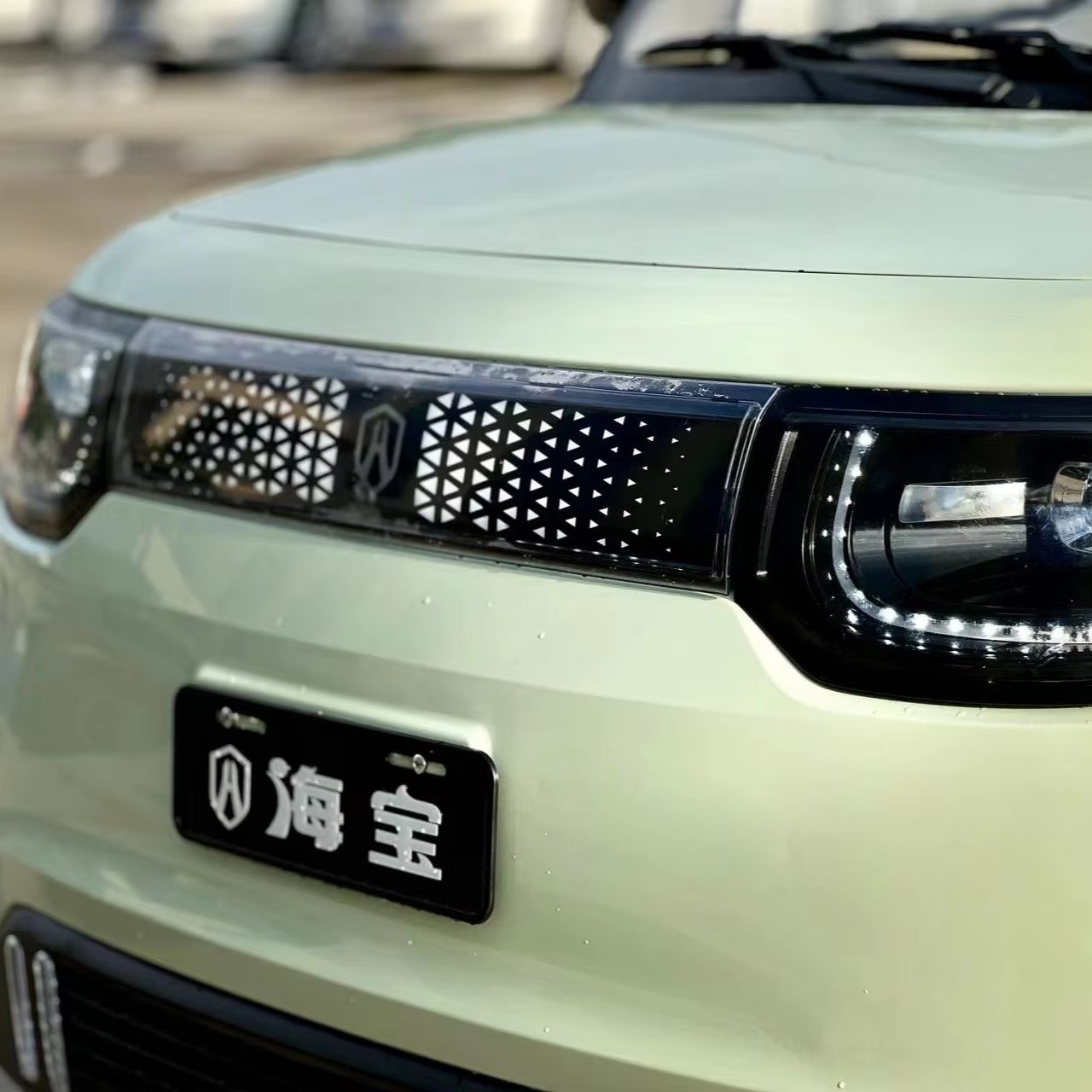 Low Speed Mini Electric Vehicle New Energy Pure Electric EEC Adult High-end Luxury Mini Electric New Energy Vehicles in China