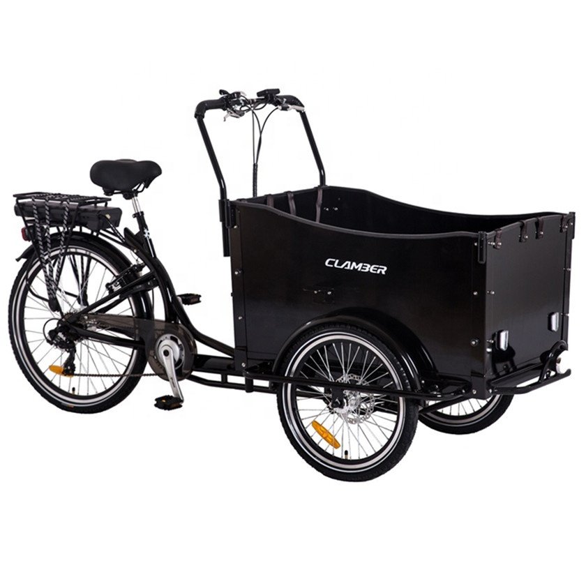 Electric Cargo Bike with Battery /three Wheel Electric Bikes /PLYWOOD Cargo Bike Electric for School Bus