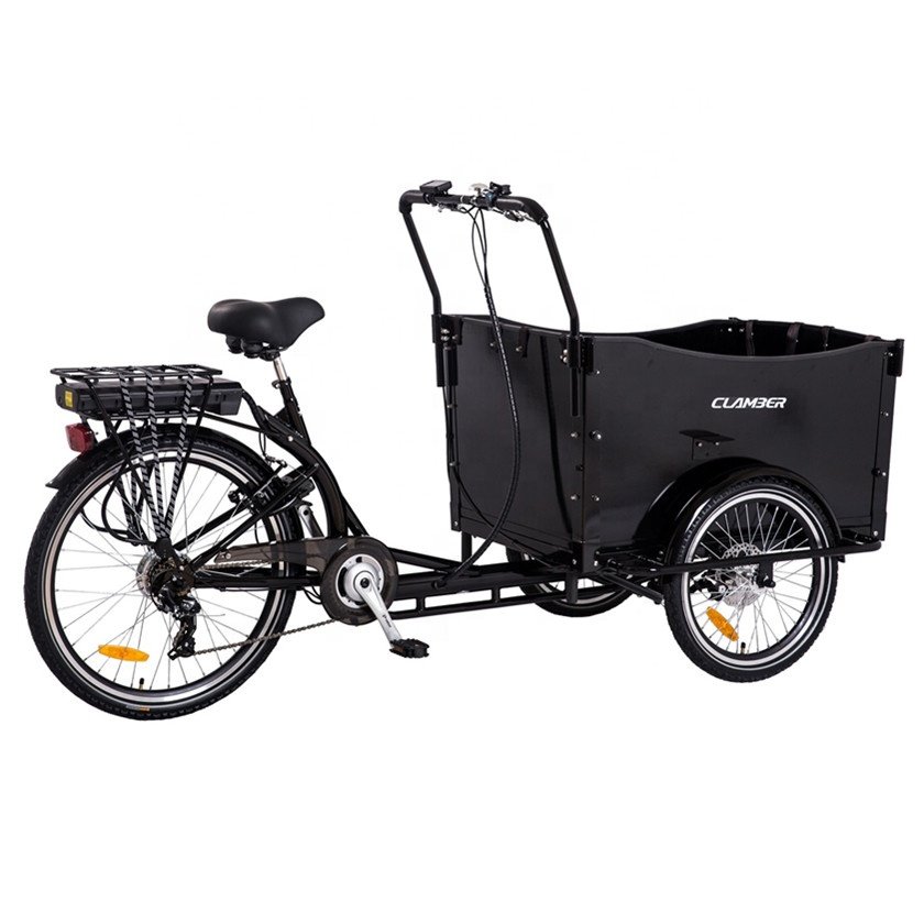 Electric Cargo Bike with Battery /three Wheel Electric Bikes /PLYWOOD Cargo Bike Electric for School Bus