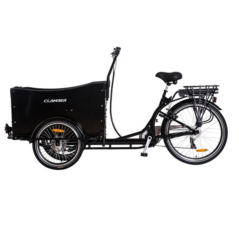 Electric Cargo Bike with Battery /three Wheel Electric Bikes /PLYWOOD Cargo Bike Electric for School Bus