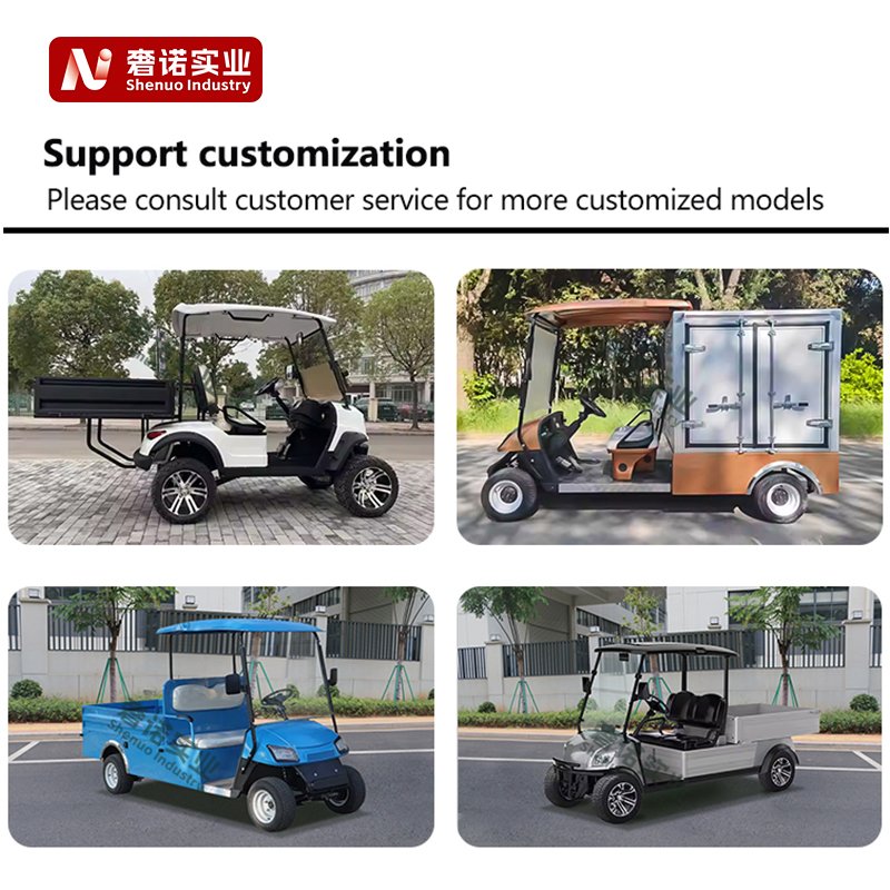 USA Electric Vehicle Club Car 4+2 Seater 4 Wheel Golf Hunting Car Electric Golf Buggy Carts