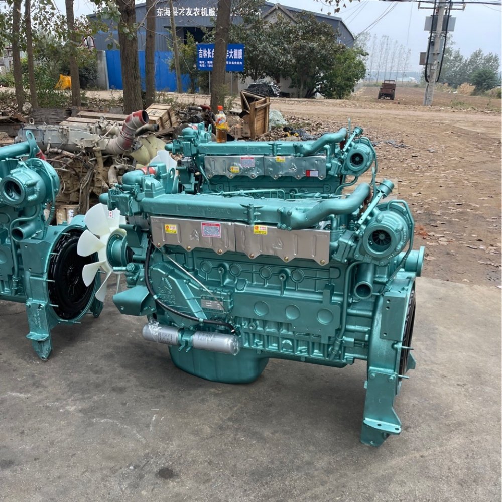 Sinotruk Howo Used Truck Engine Assembly WD615 and WD618 Models