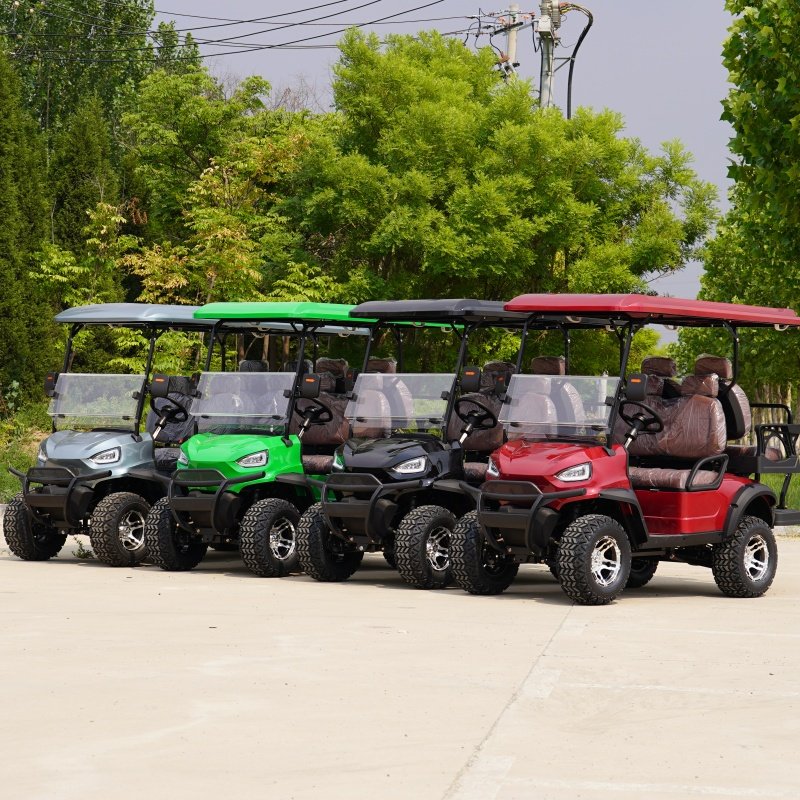 6 Seat Lithium Battery Golf Cart Adults Scooter 48V 60V 4000W Electric Golf Car