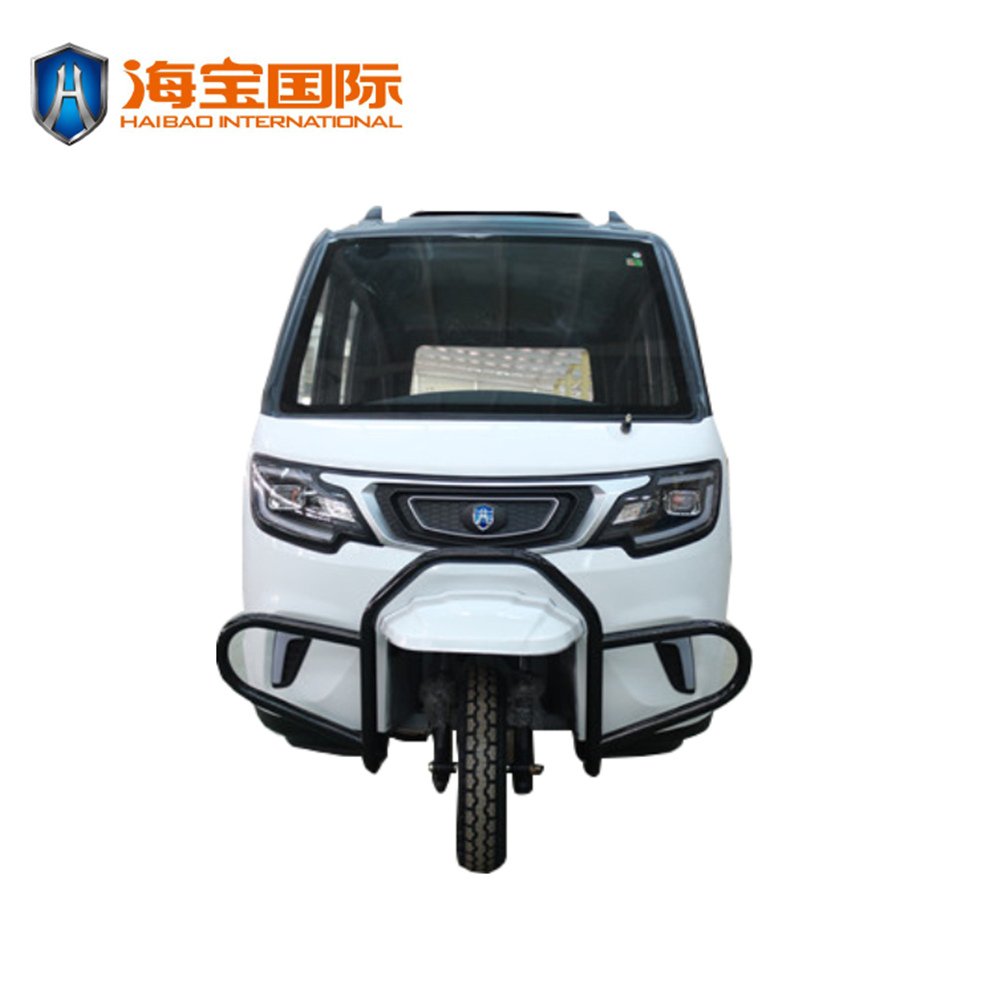 NEW Motorized Electric Tricycle with EN15194 / 3 Wheel Electric Bike with Enclosed Cover