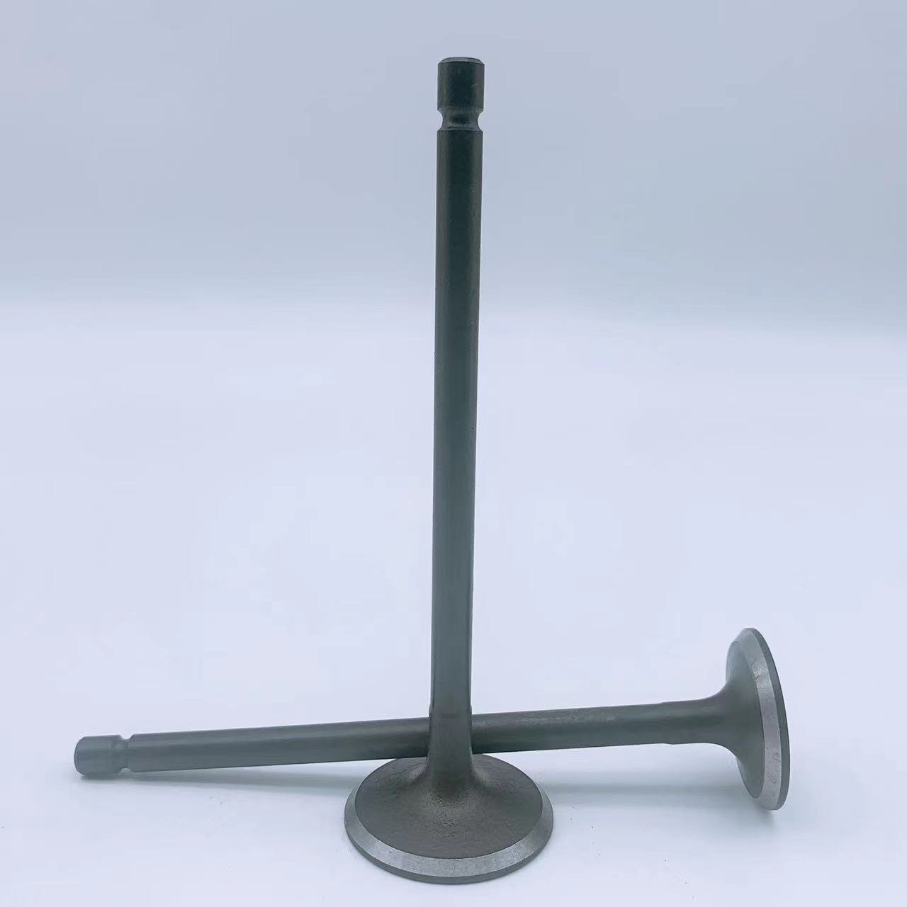 Factory Direct Sale TOYOTA 2TR 13711-75110 13711-75100 Engine Valve