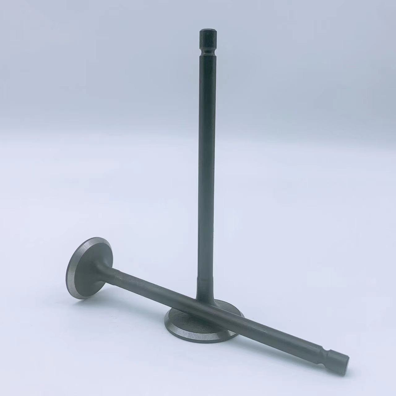 Factory Direct Sale TOYOTA 2TR 13711-75110 13711-75100 Engine Valve