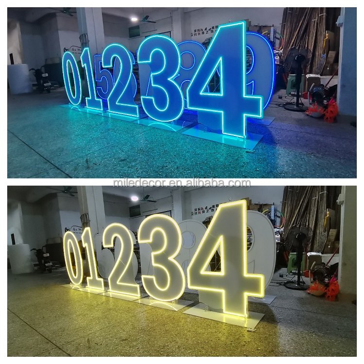Custom Led Light up Neon Sign Will You Marry Me Sign for Wedding Proposal Marriage Decoration