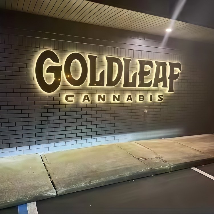 Raised Letter Outdoor Sign Business Wall logo Sign Led Commercial Office 3D Signage Letters Light logo Wall Mount