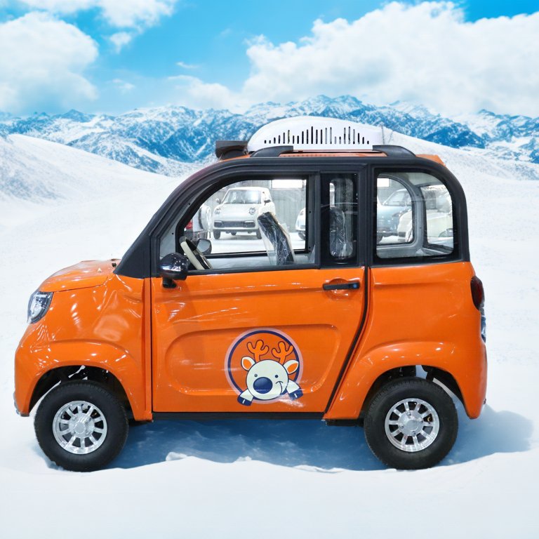 Cheap Adult New Electric Four-wheeler New Energy Household Pure Electric Fully Enclosed Low-speed Rickshaw Mini Car Bus Truck