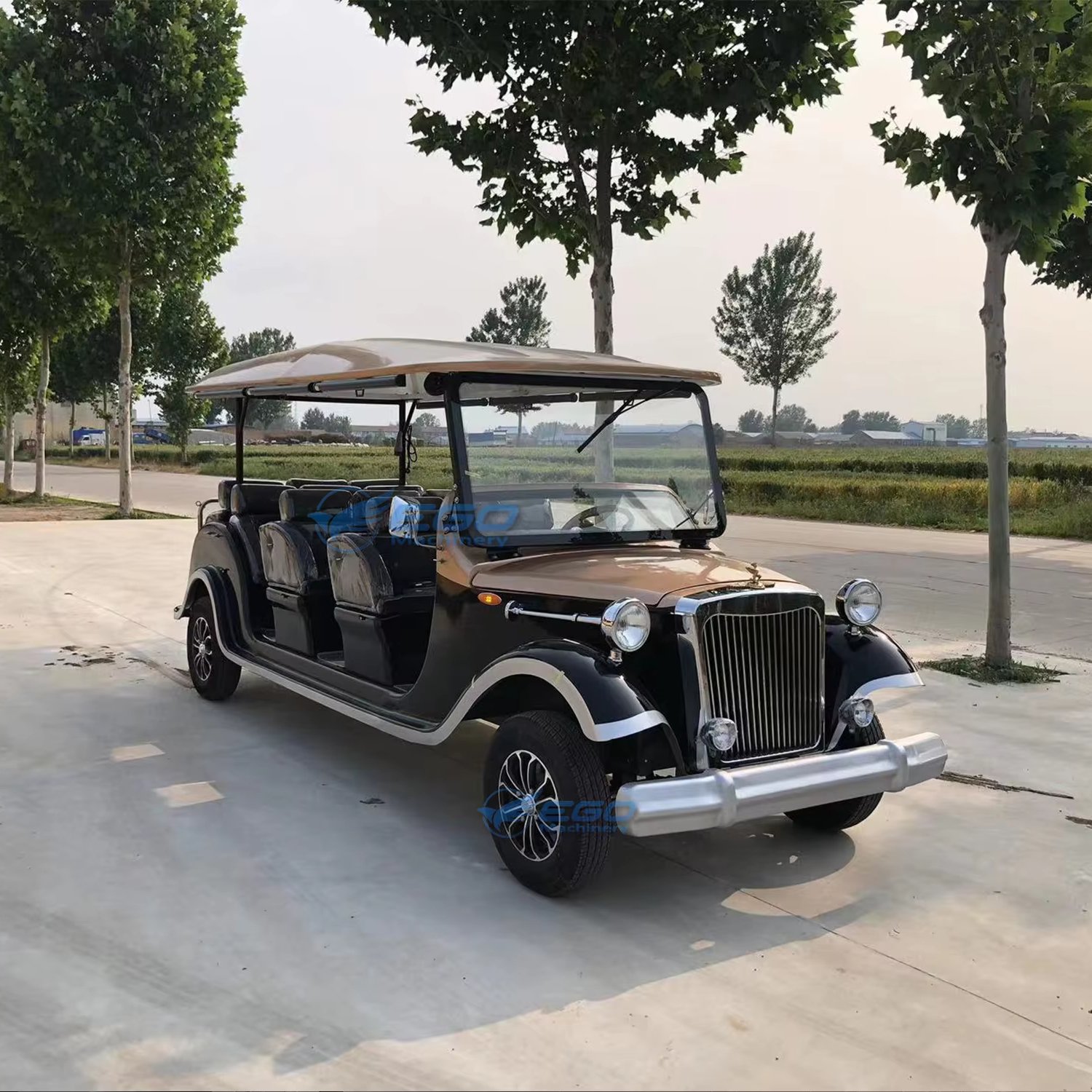 2024 New Style 11 Seats Luxury Electric Sightseeing Beach Cart Classic Vintage Golf Cart Sightseeing Car