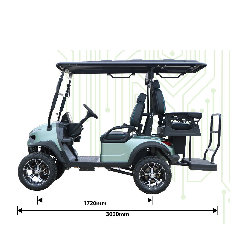Off Road Street Legal Golf Cart 2/4/6 Seater Sightseeing Bus Hunting Electric Golf Buggy