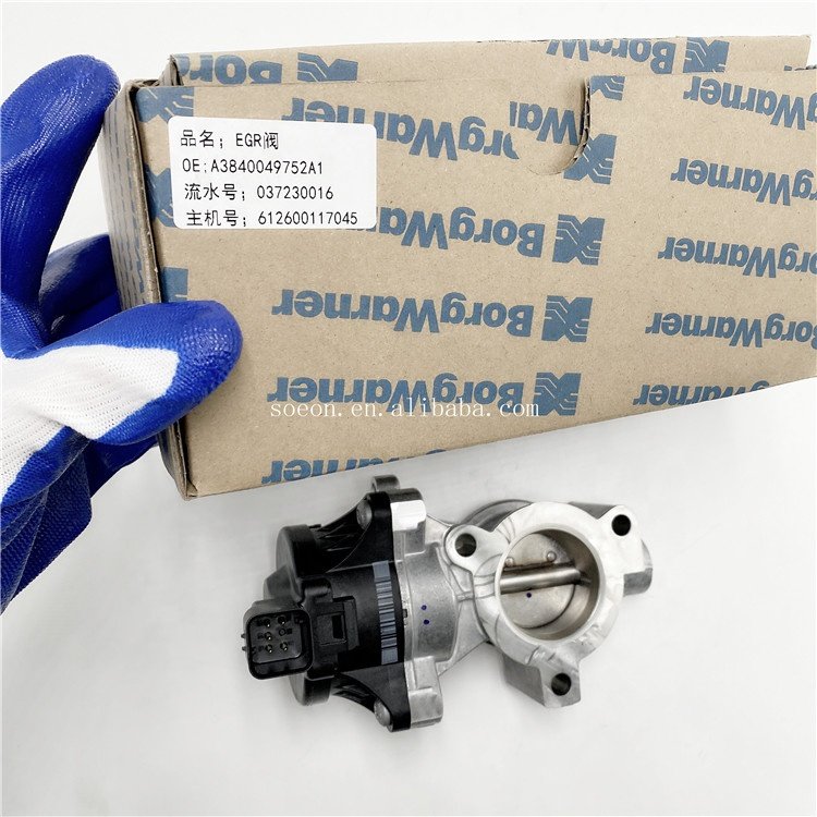 Hot Selling Original A3840049752A1 1006853265 612600117045 Engine EGR Valve