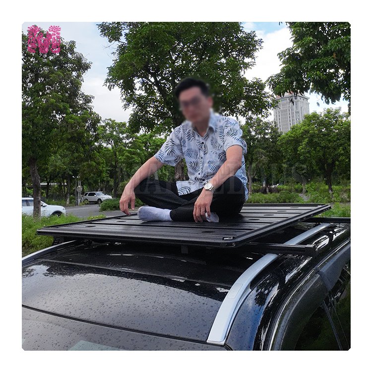 Aluminum Alloy Frame Car Rooftop Platform Bike Mounted Rack Luggage Load Carrier for Wholesale