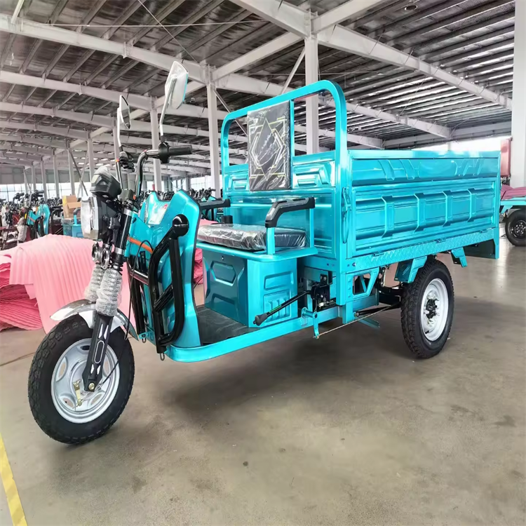 Beemotor Mini Bus High Quality 4 Wheel Open Body Electric Bike 60V Voltage Electric Tricycle