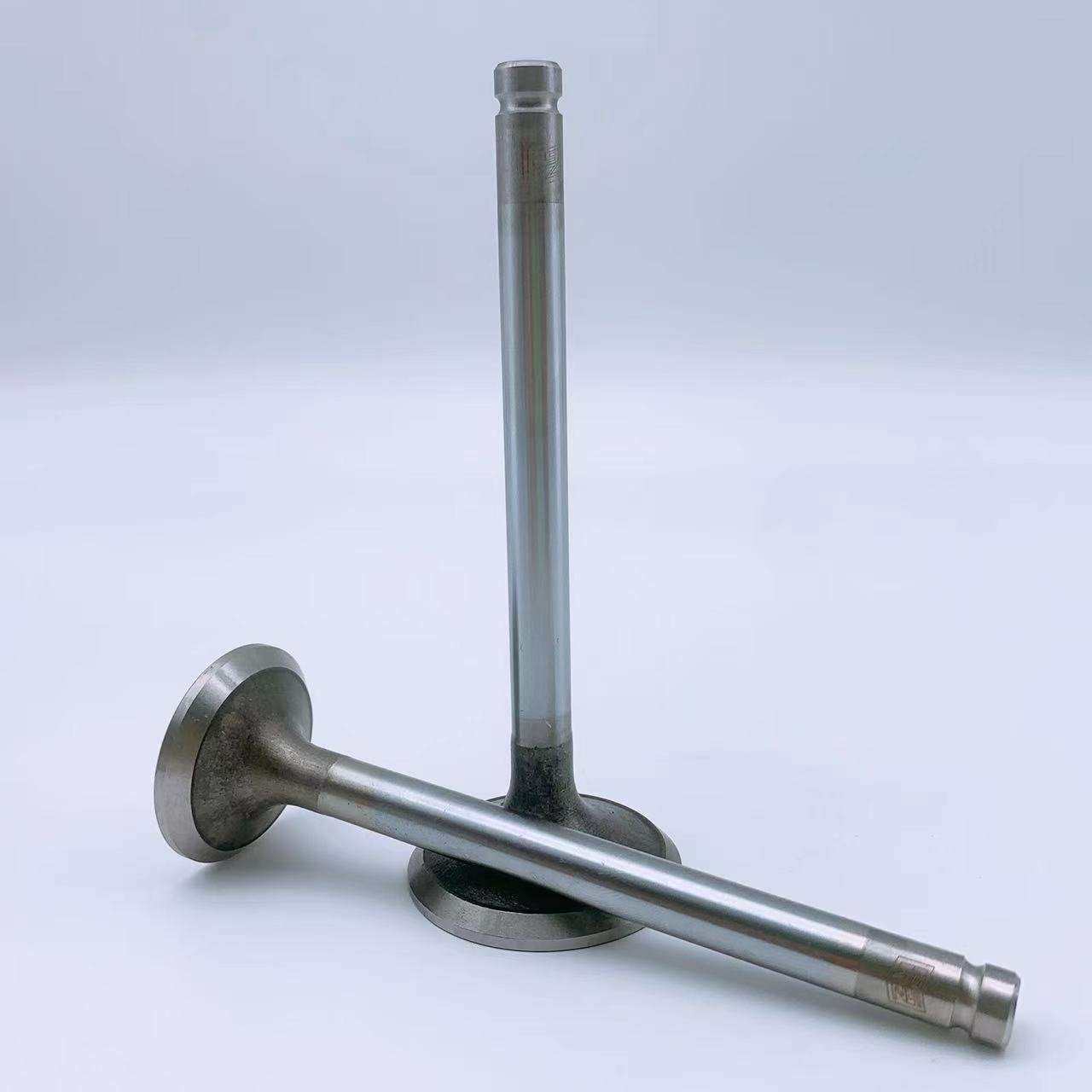Factory Direct Sale TOYOTA 4AGE(20V) 13711-16110 13715-50021 13715-16090 Engine Valve