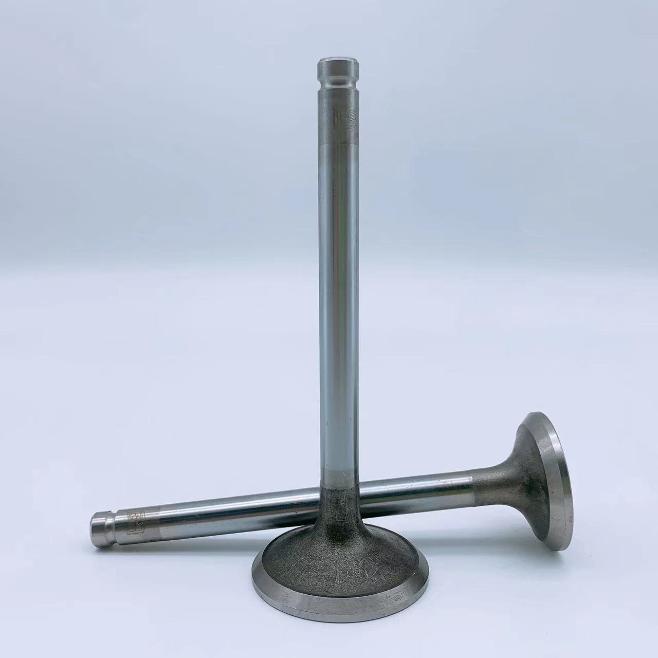 Factory Direct Sale TOYOTA 4AGE(20V) 13711-16110 13715-50021 13715-16090 Engine Valve