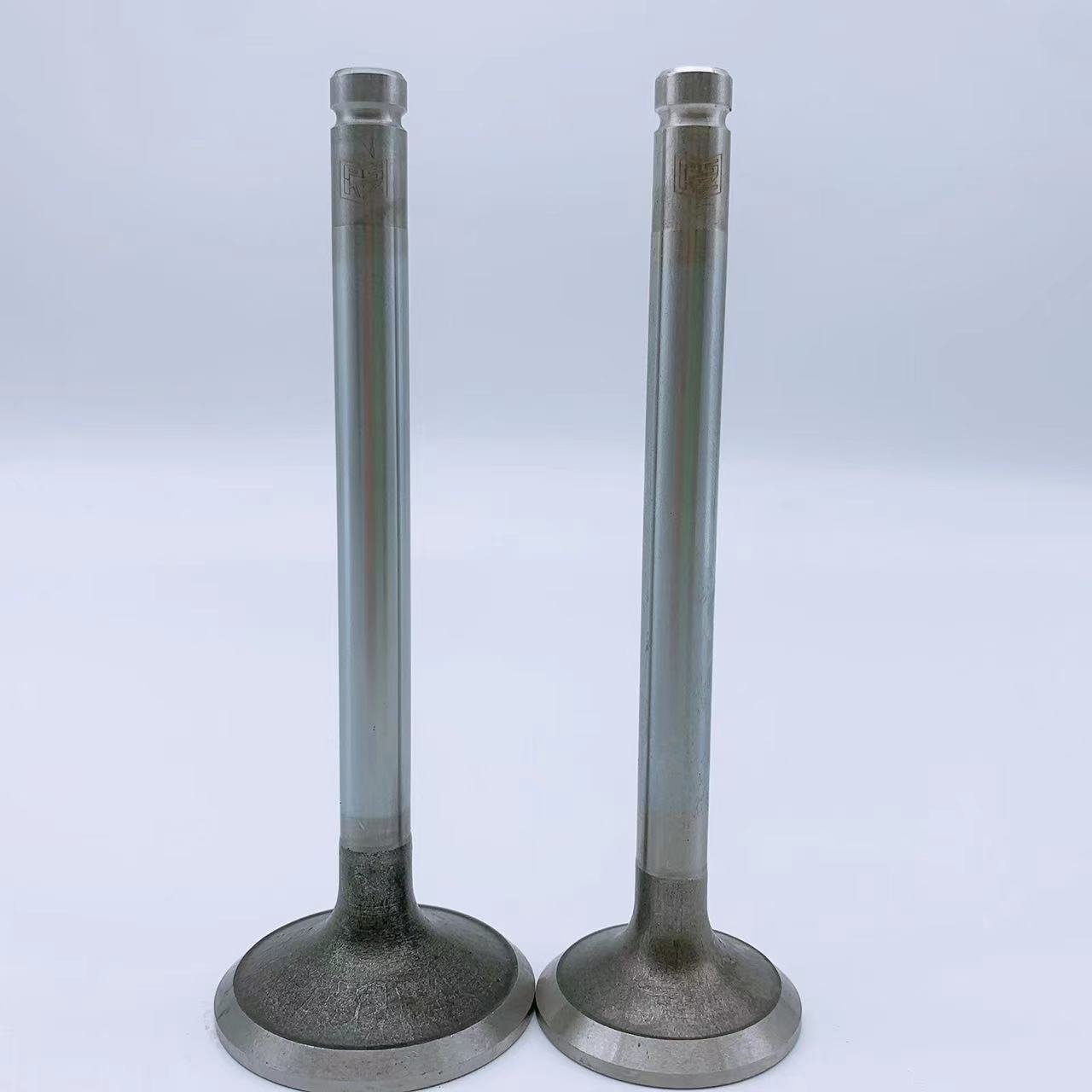 Factory Direct Sale TOYOTA 4AGE(20V) 13711-16110 13715-50021 13715-16090 Engine Valve