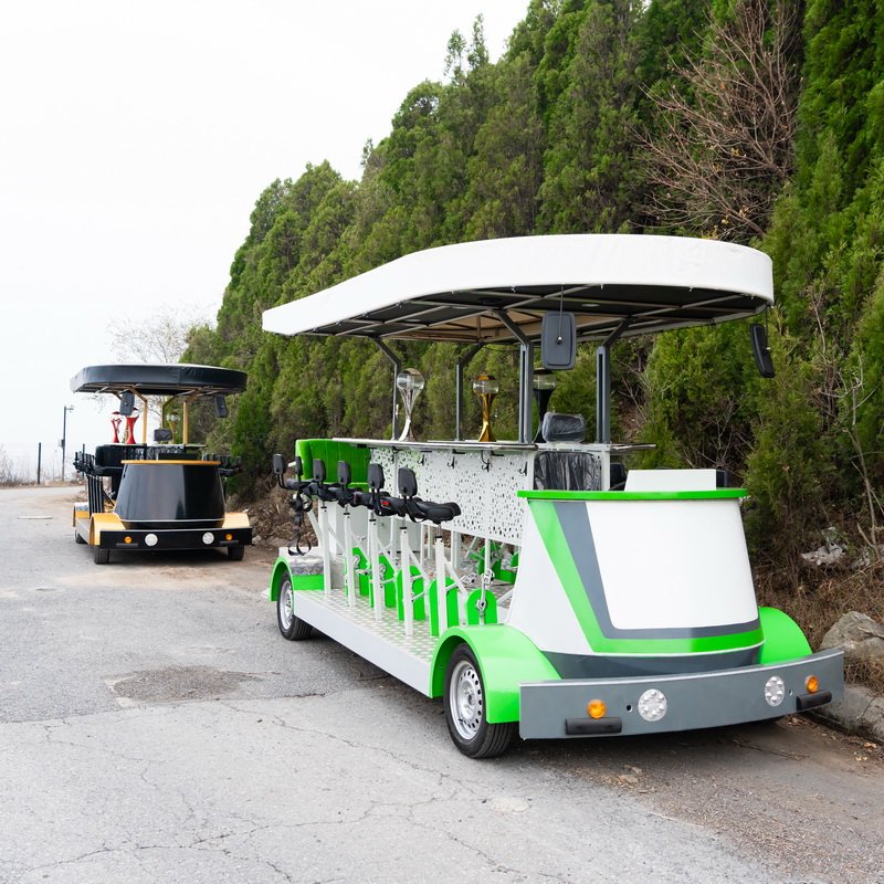 Electric Leisure Sightseeing Special City Bus Beer Bike Party Bike Manufacturer