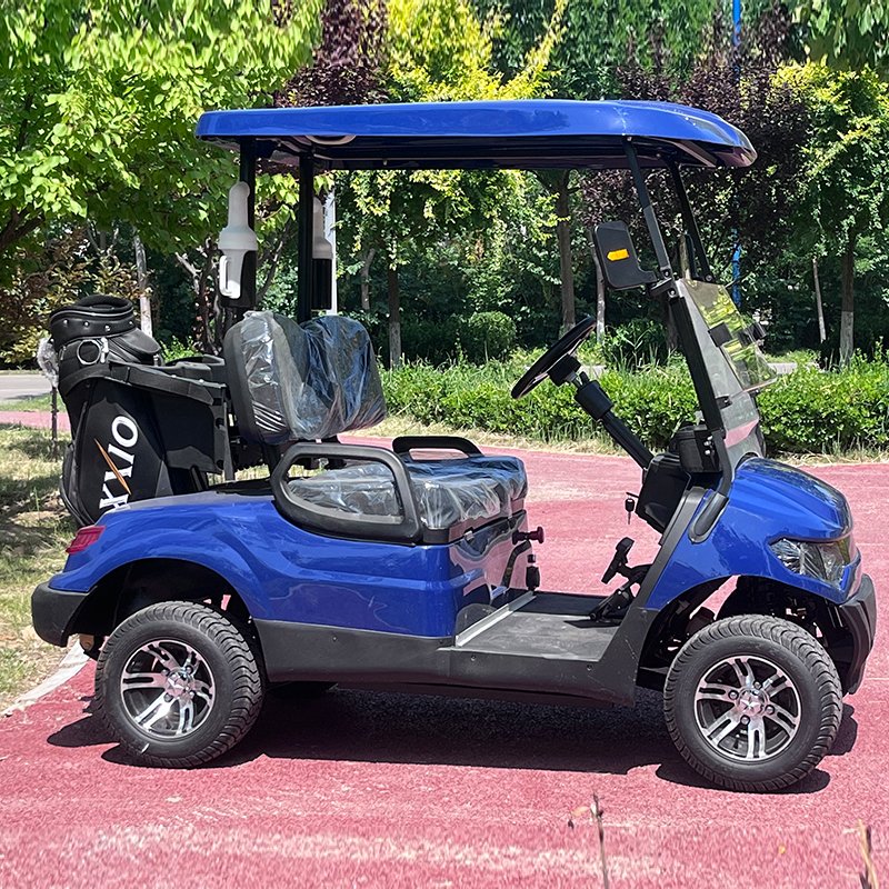 High Quality China 2 4 6 8 Seater Street Legal Electric Golf Cart Club Car Buggy Lead-acid Batteries Lithium for Sale