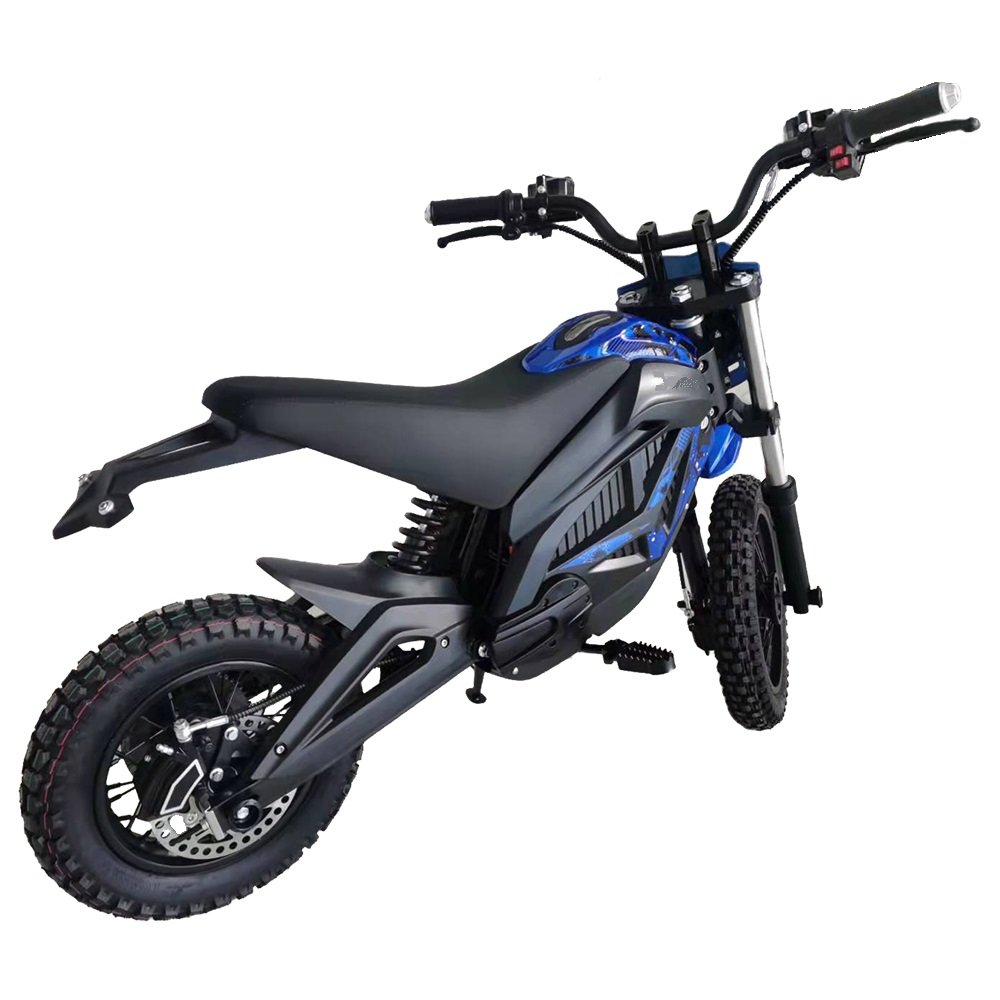 Fast Speed 2000W 36V Adult Electric E Motorcycle Moto Motorbike Racing Motorcycle For Men