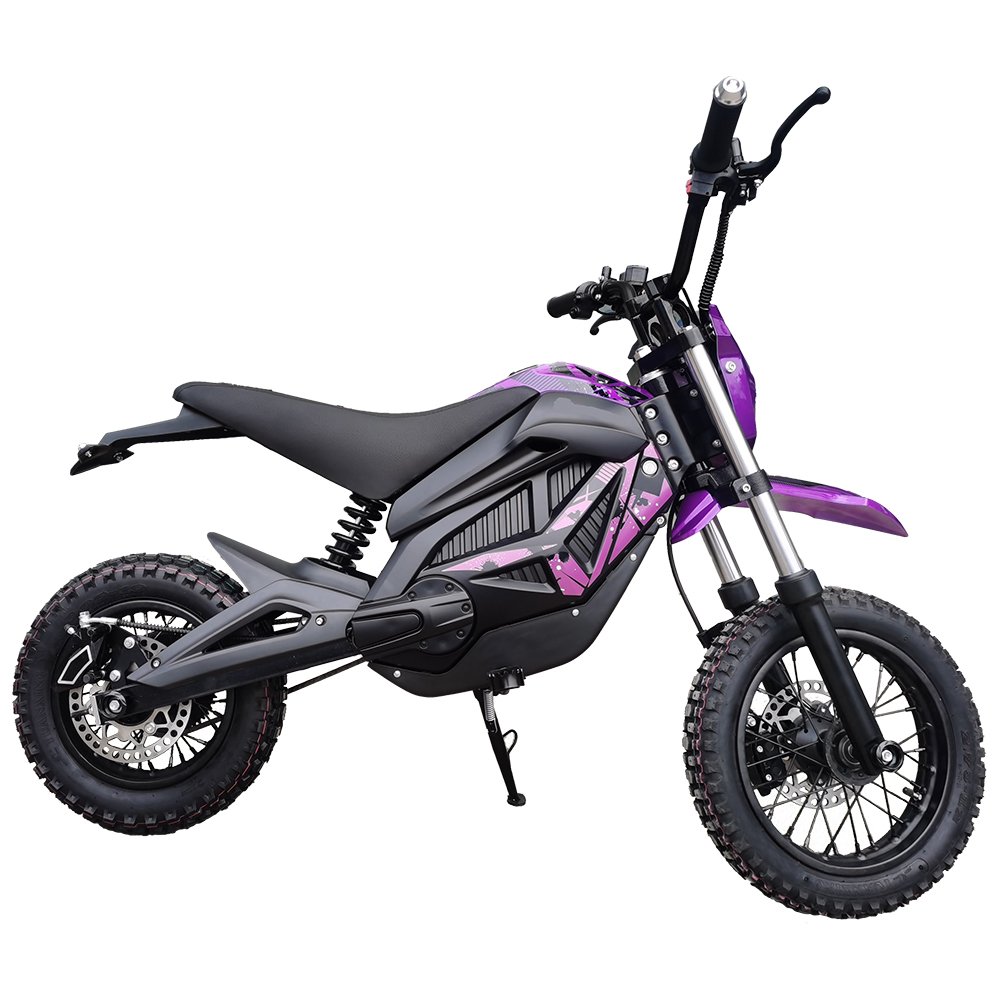 Fast Speed 2000W 36V Adult Electric E Motorcycle Moto Motorbike Racing Motorcycle For Men
