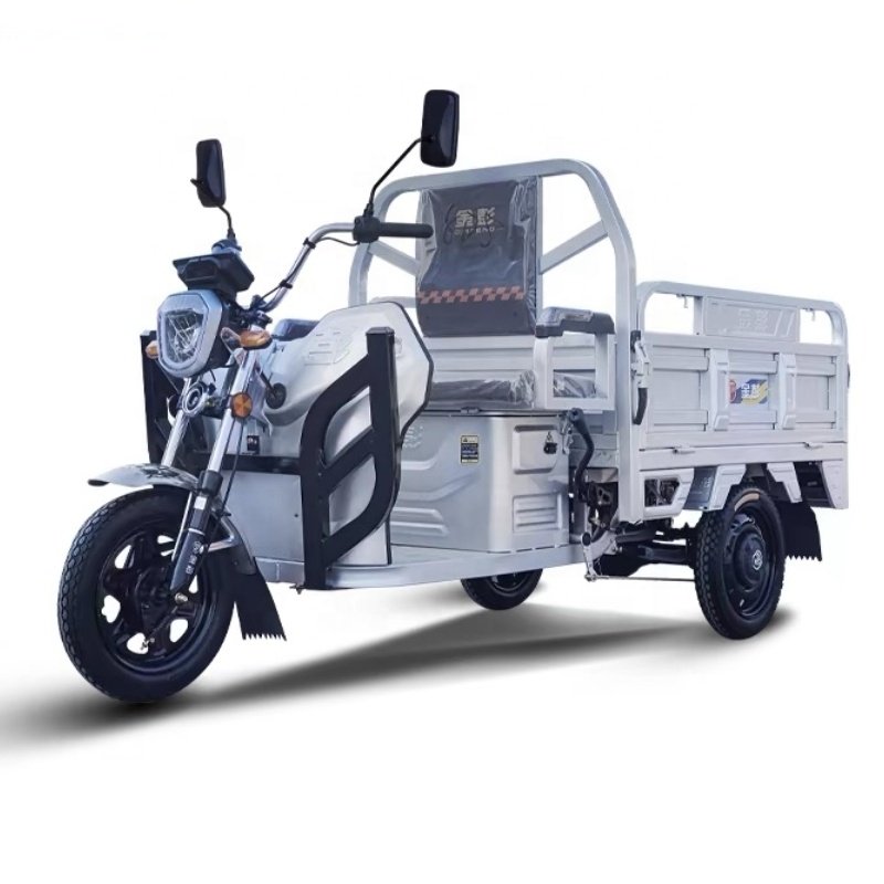 2024 Popular Electric Tricycle High Quality 1200W 1800W Powerful Motor Electric Cargo Tricycle Made In China