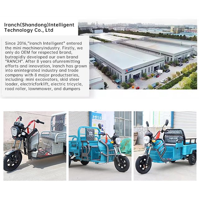 Three-wheeled Leisure Mobility Scooter High-quality New Design Elderly Passenger Folding Three-wheeled Electric Motorcycle