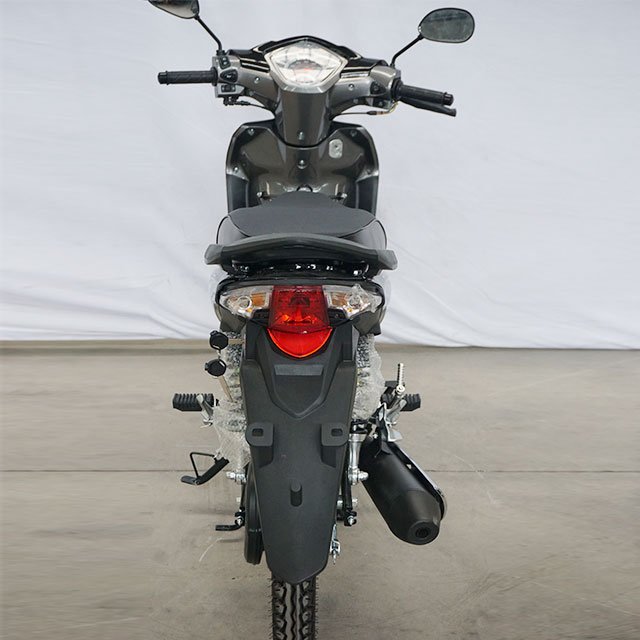 Factory Price New Cub Motorcycle 110CC 125CC 4 Stroke Gasoline 125cc Other moto bikes