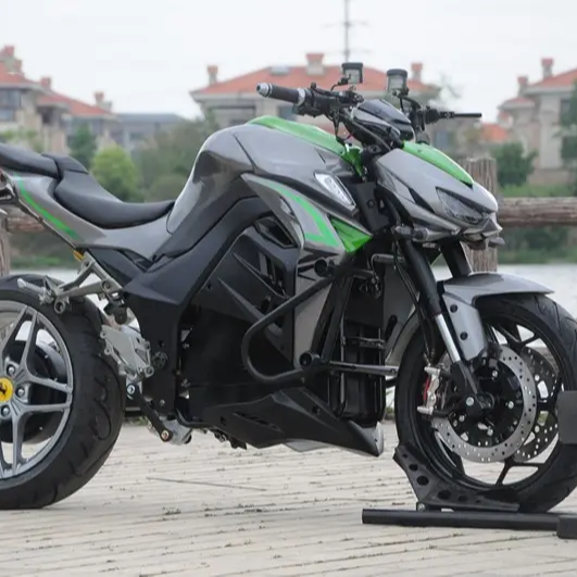 12000 72V Mountain E-Dirt Ebike Offroad Electric Motorcycle with Fat Tire for Adults EEC Certified Electric Bike