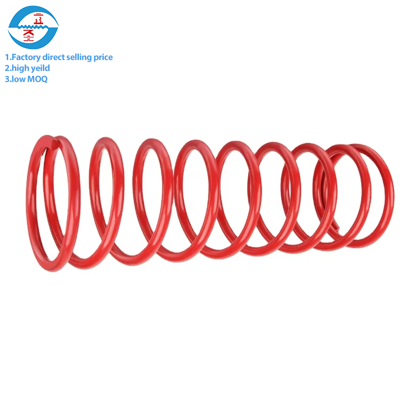 Professional custom large 304 316 stainless steel Valve heavy duty bicycle compression spring for motorcycle