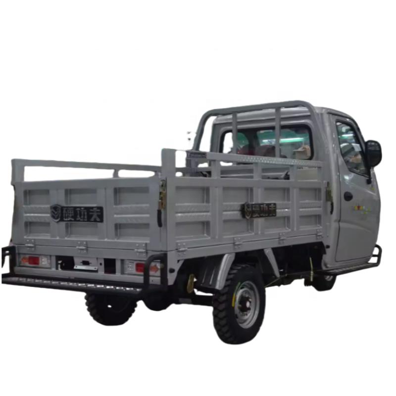 Driving Gasoline Enclosed Cargo Tricycle with Engine Cabin Type Adult Tricycle Customized Goods Closed Motorized 36V 2 People