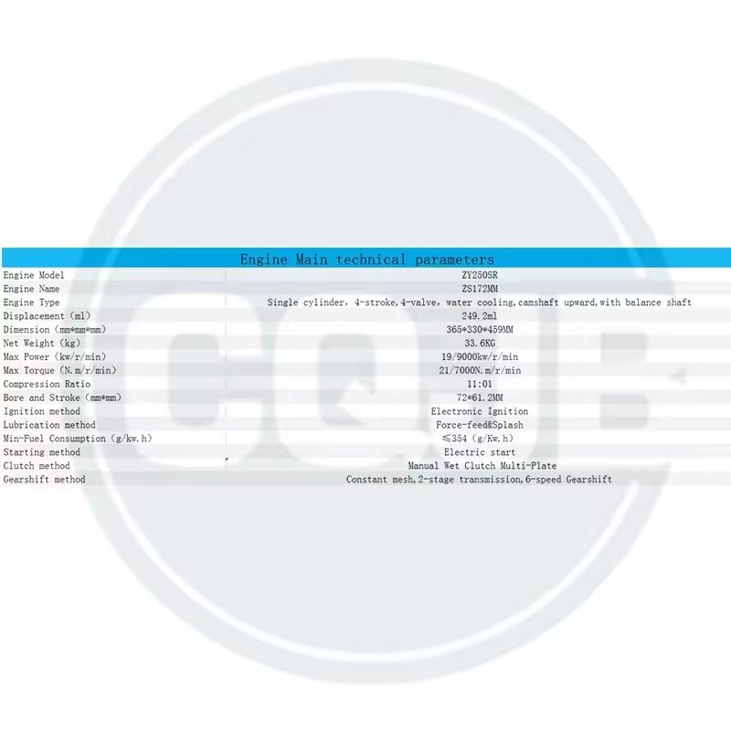CQJB High Quality Motorcycle Engine ZY250SR Motorcycle Engine Assembly